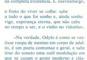 imagem_8