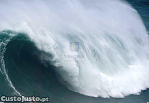 imagem_18