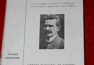 Livro de textos políticos 1905-1910 ( Espinho )