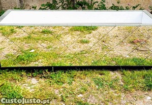 imagem_6