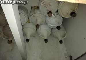 imagem_2