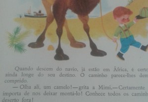 imagem_2