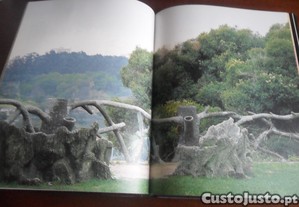 imagem_6