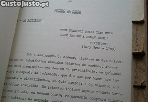imagem_10