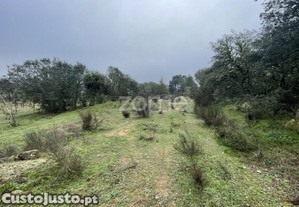 Terreno Agrícola Com 4 Hectares, Vila Nova De...