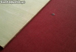 imagem_4