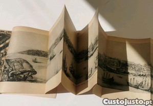 imagem_2