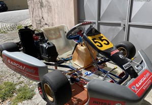 Kart Alpha Racer c/Rotax FR 125 Max