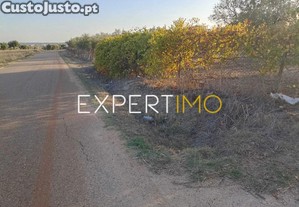 imagem_4