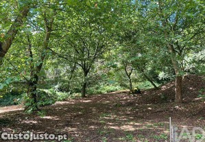 imagem_12