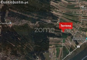 Terreno Na Torreira, Murtosa