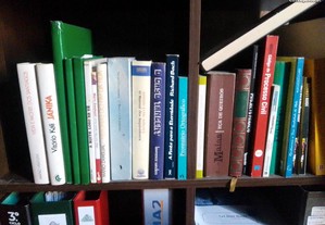 imagem_3