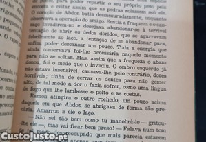 imagem_4