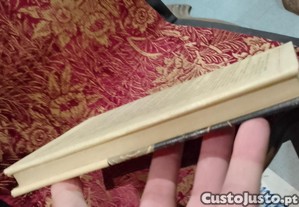 imagem_5