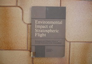 Environmental Impact of Stratospheric Flight