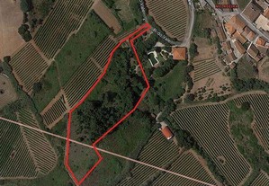 Terreno em Lisboa de 6866,00 m²