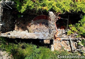 imagem_12