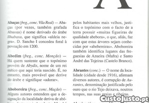 imagem_6