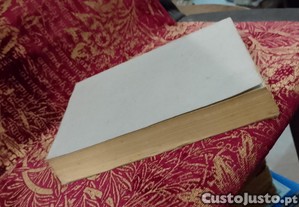imagem_7