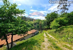 imagem_15