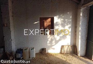 imagem_21