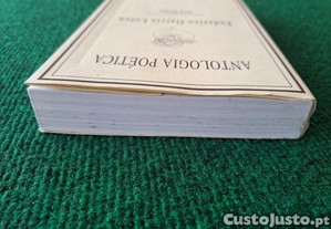 imagem_8