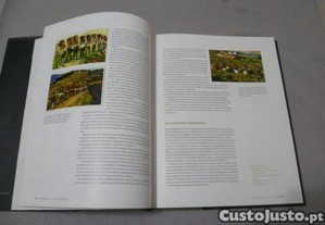 imagem_2
