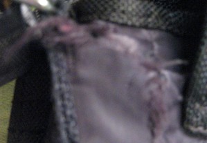 imagem_4