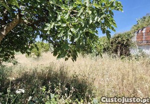 imagem_10