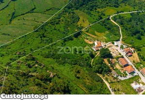 Quinta Com Casa E Terreno De 18 Hectares Em...