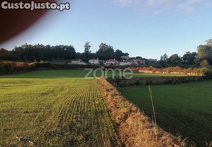 Terreno Agrícola Com 6.650 M2 Em...