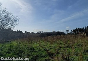 Terreno Agrícola à em Mamarrosa - 9160m²