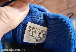 imagem_5