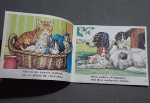 imagem_2