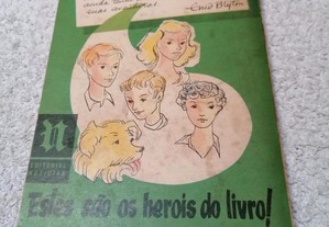 imagem_3