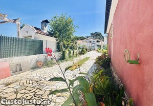 imagem_12