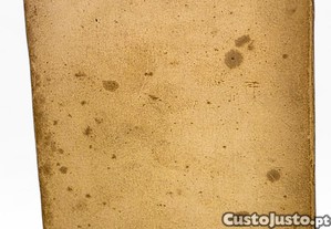 imagem_8