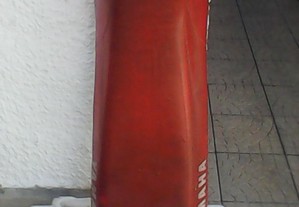 imagem_7