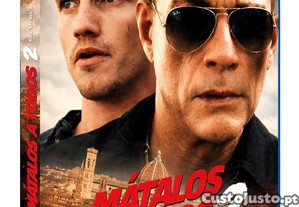 imagem_1