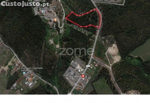 Terreno Misto Com 13.800 M2 Em Guilhabreu V Do...