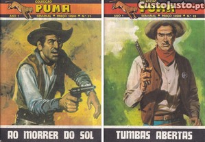 imagem_8
