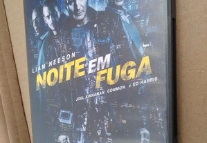 imagem_7