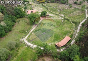 imagem_18