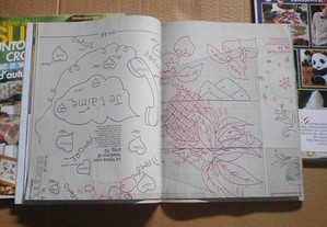 imagem_4