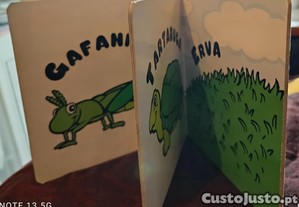 imagem_3