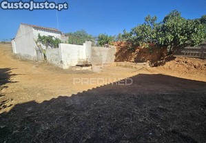 imagem_8