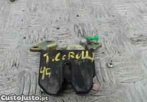 imagem_1