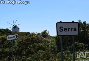 imagem_23