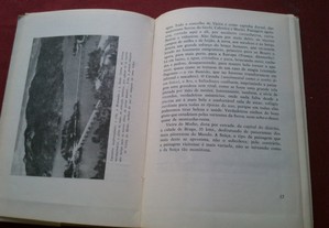 imagem_6