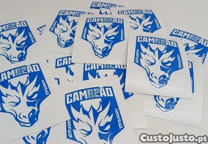 imagem_1